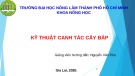 Bài thuyết trình Kỹ thuật canh tác cây bắp