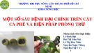 Bài thuyết trình Một số sâu bệnh hại chính trên cây cà phê và biện pháp phòng trừ