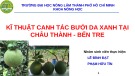 Bài thuyết trình Kĩ thuật canh tác bưởi da xanh tại Châu Thành - Bến Tre