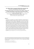 H2O2 production in Lactobacillus strains isolated from the intestinal microbiome of healthy people