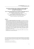 Selection of purification condition for recombinant endoglucanase originated from goat rumen bacteria in Escherichia Coli