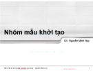 Bài giảng Mẫu thiết kế hướng đối tượng và ứng dụng: Nhóm mẫu khởi tạo - Nguyễn Minh Huy