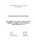 Khóa luận tốt nghiệp ngành Nông học: Ảnh hưởng của loại gốc ghép đến sinh trưởng cây giống cà phê vối trong vườn ươm tại Gia Lai