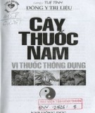 Các vị thuốc Nam thông dụng: Phần 1