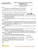 Đề thi khảo sát chất lượng đội tuyển học sinh giỏi môn Vật lí lớp 12 năm học 2018-2019 – Trường THPT Yên Lạc 2