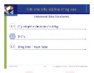 Bài giảng Cấu trúc dữ liệu và giải thuật: Các cấu trúc dữ liệu nâng cao (tt) - Nguyễn Tri Tuấn