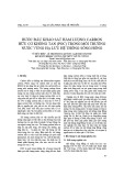 Bước đầu khảo sát hàm lượng carbon hữu cơ không tan (POC) trong môi trường nước vùng hạ lưu hệ thống Sông Hồng