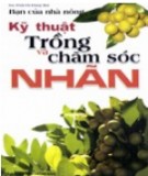 Cẩm nang hướng dẫn kỹ thuật trồng và chăm sóc Nhãn: Phần 2