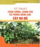 Hướng dẫn chọn giống, chăm sóc và phòng bệnh cho cây đu đủ: Phần 2