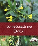 Cây thuốc của người Dao tại Ba Vì: Phần 1