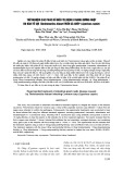 Thử nghiệm các phác đồ điều trị bệnh u nang đường ruột do bào tử sợi Thelohanellus kitauei trên cá chép (Cyprinus carpio)