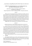 Nghiên cứu liên kết hóa học của các cluster Si3 M (M=Sc-Zn) bằng phương pháp hóa học lượng tử