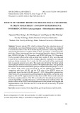 Effects of turmeric residue on hematological parameters, nutrient digestibility and growth performance of hybrid catfish (Clarias gariepinus x Heterobranchus bidorsalis)