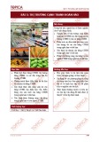 Bài giảng Kinh tế vi mô - Bài 5: Thị trường cạnh tranh hoàn hảo