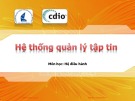 Bài giảng môn Hệ điều hành: Hệ thống quản lý tập tin