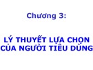 Bài giảng Kinh tế vi mô: Chương 3 - ThS. Trần Thanh Hiền