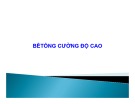 Bài giảng Bêtông cường độ cao