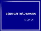 Bài giảng môn Nội bệnh lý: Bệnh đái tháo đường