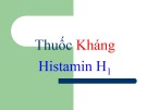 Bài giảng Dược lý học: Thuốc kháng Histamin H1