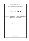 Luận văn Thạc sĩ Quản trị kinh doanh: Cán cân thương mại Việt Nam – Trung Quốc: Thực trạng và giải pháp