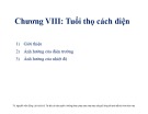 Bài giảng môn Vật liệu điện: Chương 8 - TS. Nguyễn Văn Dũng