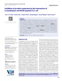 Inhibition of protein expression by the interaction of G-Quadruplex and RHAU peptide in E. coli