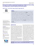 Removal of methyl orange by heterogeneous fenton process using iron dispersed on alumina pillared bentonite pellet