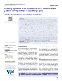 Secretory expression of the recombinant FGF-2 protein in Pichia pastoris carrying multiple copies of target gene