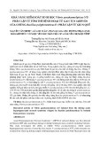 Khả năng kiểm soát sinh học Vibrio parahaemolyticus NT7 phân lập từ tôm thẻ bệnh hoại tử gan tụy (AHPND) của chủng Bacillus polyfermenticus F27 phân lập từ giun quế