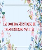 Các loại hoa nên sử dụng để trang trí ngày Tết