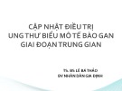 Bài giảng Cập nhật điều trị ung thư biểu mô tế bào gan giai đoạn trung gian - TS. BS. Lê Bá Thảo