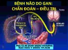 Bài giảng Bệnh não do gan: Chẩn đoán - điều trị