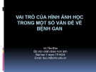 Bài giảng Vai trò của hình ảnh học trong một số vấn đề về bệnh gan - BS. Võ Tấn Đức