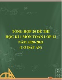 Tổng hợp 20 đề thi học kì 1 môn Toán 12 năm 2020-2021 (Có đáp án)