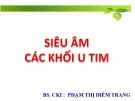 Bài giảng Siêu âm các khối u tim - BS. CKI: Phạm Thị Diễm Trang