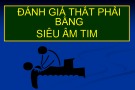 Bài giảng Đánh giá thất phải bằng siêu âm tim