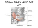 Bài giảng Siêu âm tuyến nước bọt lớn