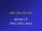 Bài giảng Siêu âm cấp cứu bệnh lý ống tiêu hóa