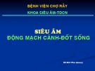 Bài giảng Siêu âm động mạch cảnh, đốt sống - BS. Bùi Phú Quang