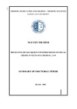 Summary of Doctoral thesis: Protecting human rights with provisions on sexual crimes in Vietnam's criminal law