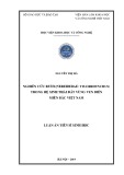 Luận án Tiến sĩ Sinh học: Nghiên cứu rươi (Nereididae: Tylorrhynchus) trong hệ sinh thái đất vùng ven biển miền bắc Việt Nam