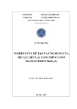 Luận văn Thạc sĩ Hóa học: Nghiên cứu chế tạo và ứng dụng của hệ vật liệu lai nano trên cơ sở mangan ferit MnFe2O4