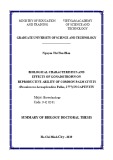 Summary of Biology doctoral thesis: Biological characteristics and effects of gonadotropin on reproductive ability of common palm civets (Paradoxurus hermaphroditus Pallas, 1777) in captivity