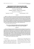 Nghiên cứu một số chỉ tiêu sinh hóa theo tuổi phát triển của quả nhãn lồng (Euphoria longan Lamk.) trồng tại Quảng Ninh