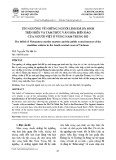 Tín ngưỡng về những người lính đã hy sinh trên biển và tâm thức văn hóa biển đảo của người Việt ở vùng Nam Trung Bộ