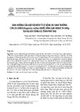 Ảnh hưởng của mật độ đến tỷ lệ sống và sinh trưởng của cá chiên (Bagarius rutilus) nuôi lồng giai đoạn 70-500g tại hạ lưu sông Lô, tỉnh Phú Thọ