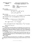 Đề thi chọn đội tuyển HSG dự thi quốc gia môn Toán 12 năm 2020-2021 - Sở GD&ĐT Bình Định