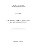 Luận văn Thạc sĩ Toán học: Các metric vi phân Kobayashi, Caratheodory và Sibony