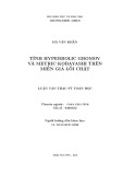 Luận văn Thạc sĩ Toán học: Tính Hyperbolic Gromov và Metric Kobayashi trên miền giả lỗi chặt