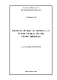 Luận văn Thạc sĩ Toán học: Nhóm con hữu hạn của nhóm PGL (2,R) và một ứng dụng vào giải phương trình hàm